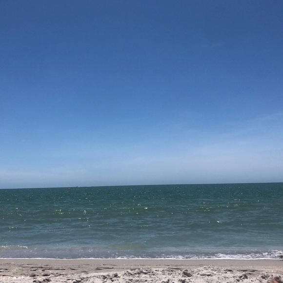 Meet your Posher, Dabney - Picture 1 of 1